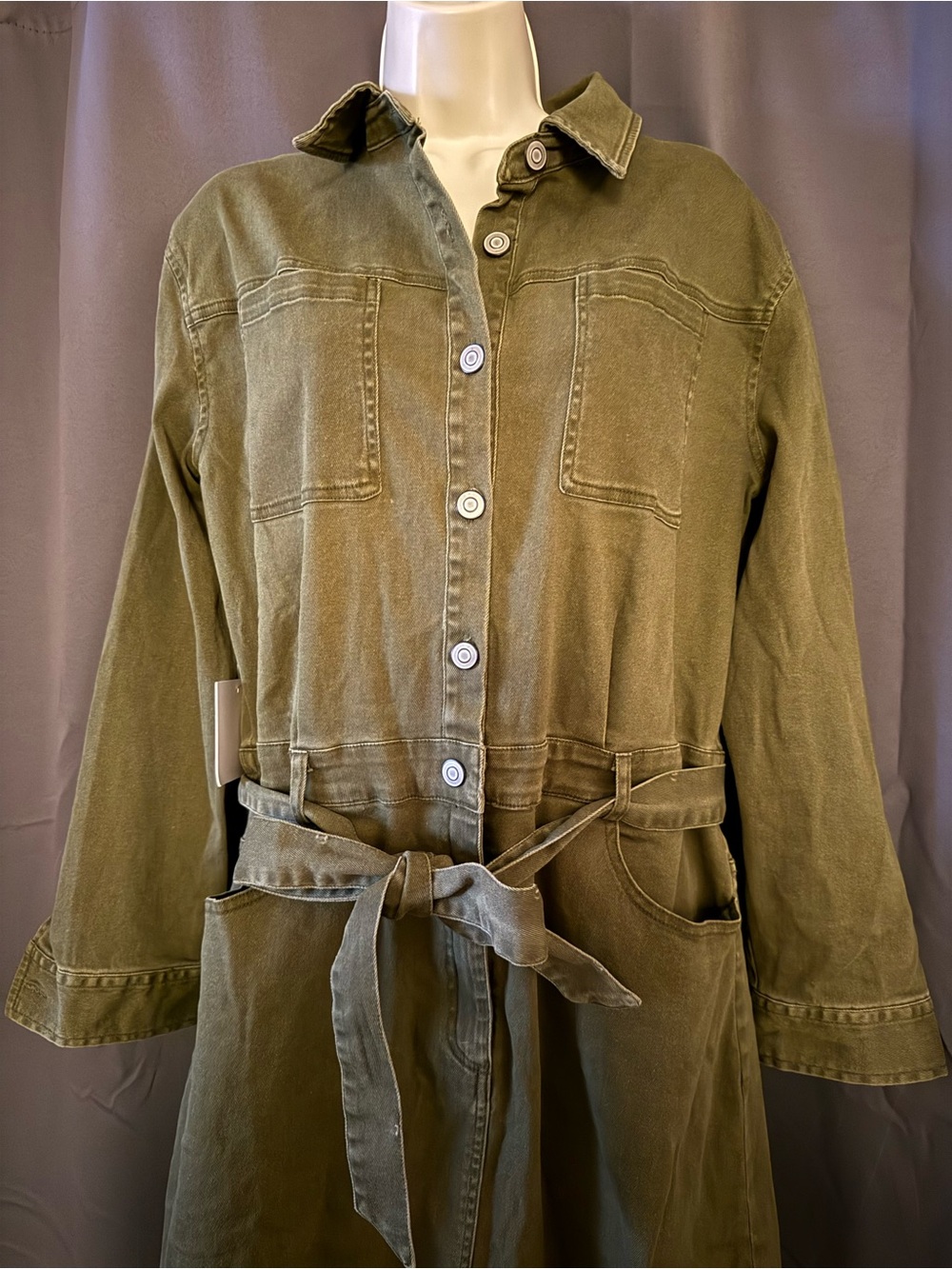 Petal & Pup Olive Cortney Long Sleeve Dress